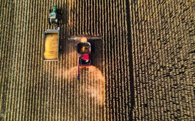 ریتم و نحوه استفاده از آن در عکاسی !