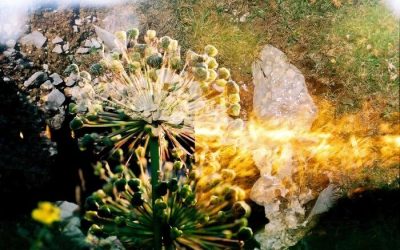 این 13 تم عکاسی جالب برای الهام بخشیدن به کار شما