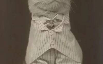 ۲۵ حقیقت شگفتانگیز دربارهی عکاسی که احتمالاً نمیدانستید