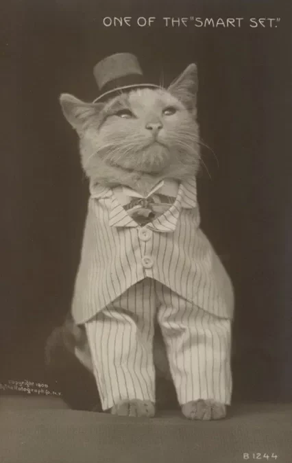 ۲۵ حقیقت شگفت‌انگیز درباره‌ی عکاسی که احتمالاً نمی‌دانستید